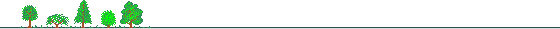 forest gif